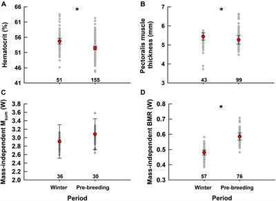 Snow Buntings Maintain Winter-Level Cold Endurance While Migrating to the High Arctic